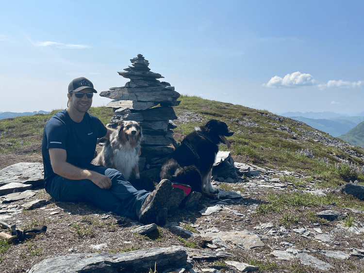 summer dog hike