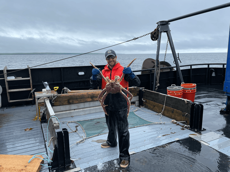 holding king crab
